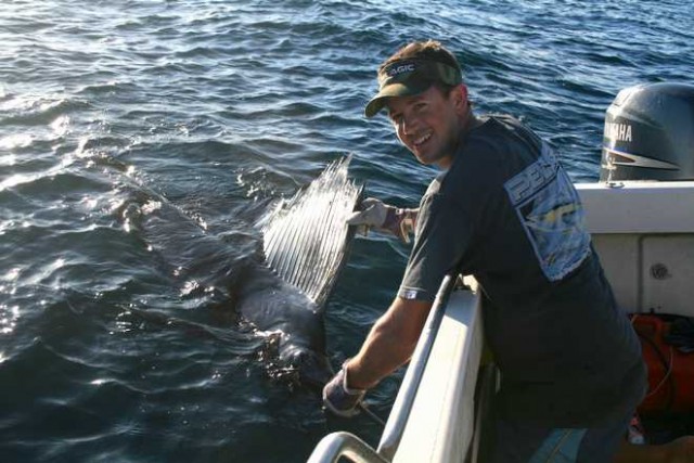 Tim's First Sailfish getting released